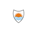 Owl Image